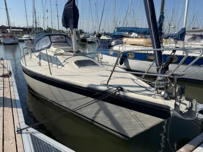 zeilboot afgemeerd in jachthaven