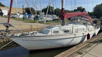 zeilboot aangemeerd in jachthaven
