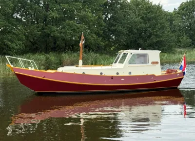 motorschouw in het water bij groene oever