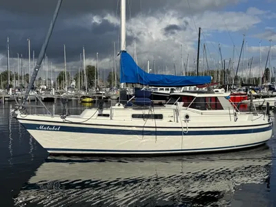 witte zeilboot in jachthaven