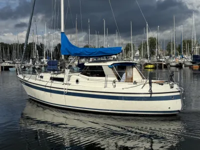 zeiljacht in haven met blauwe zeilhuik