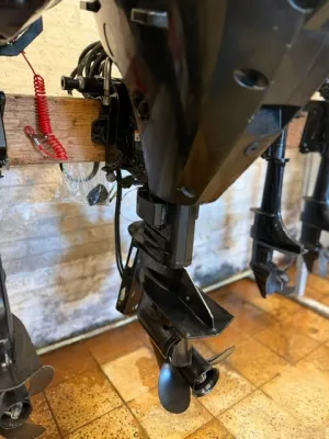 buitenboordmotor kortstaart binnen