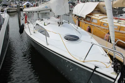 zeilboot afgemeerd in jachthaven