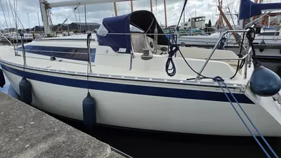 zeiljacht afgemeerd langs kade in jachthaven