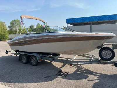 sportieve bowrider op trailer