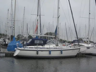 zeilboot in jachthaven op het water