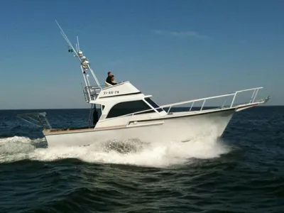aluminium sportvisboot met flybridge